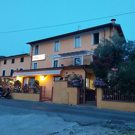 Nonna Lory Bed & Breakfast Pietrasanta Exterior photo