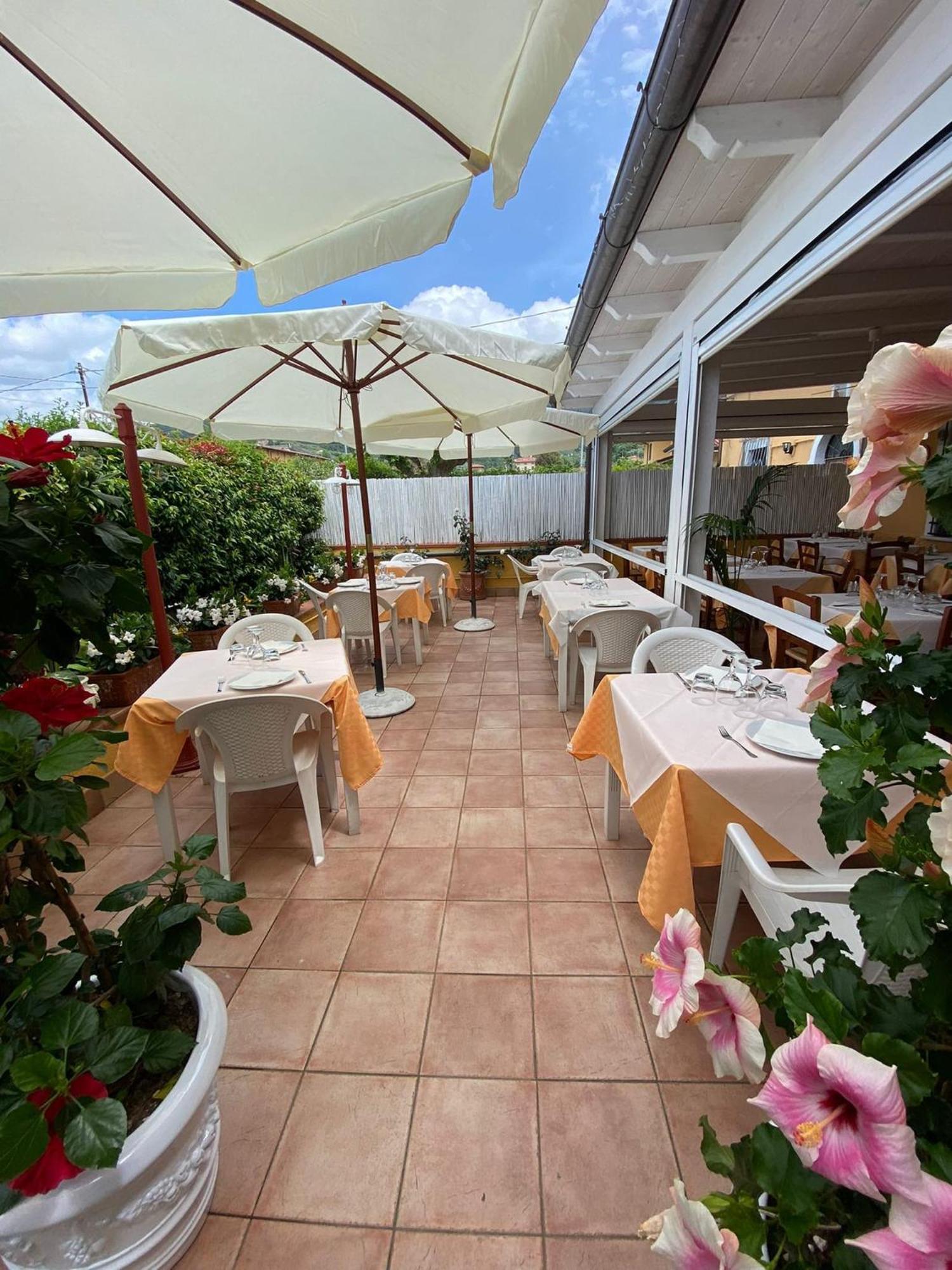 Nonna Lory Bed & Breakfast Pietrasanta Exterior photo